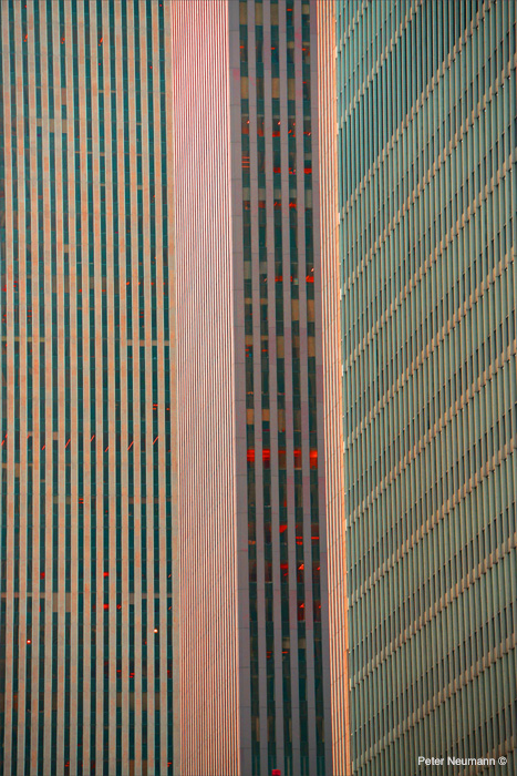 _DSC1181