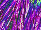 IMG_1705-K